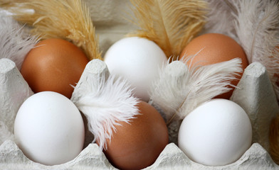 Braune und weiße Eier
