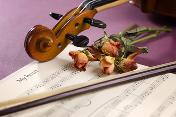violin, sheet music and dried roses