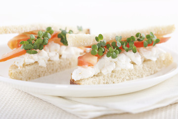 Vegetarian sandwiches