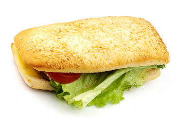 long senvich on white plate