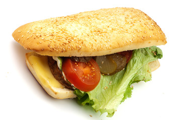 long senvich on white plate