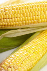 Fresh corn vegetable