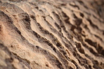 détail de grès en Jordanie