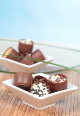 Pralinenauswahl mit farbigem Hintergrund