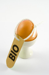 Bio-Eier