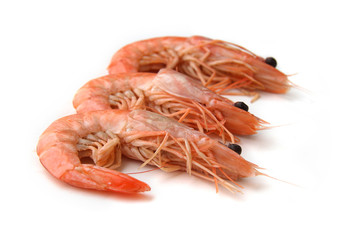 Crevettes
