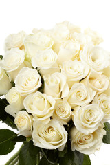 Cream roses