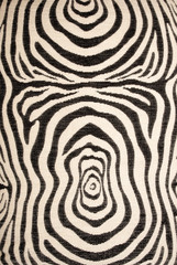 fabric with zebra pattern