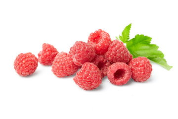 berries on white background