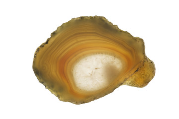 Piece of polished agate isolated on white.
