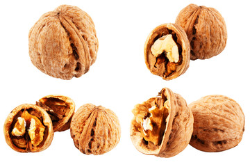 Walnut