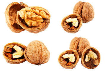 Walnut