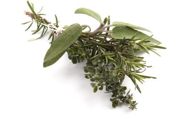 rosmarino,salvia e timo
