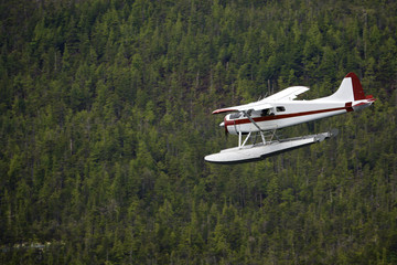 Float plane over forest in Ketchikan, AK