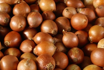 Cebolas
