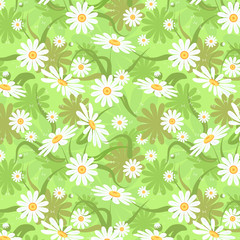 Decorative floral seamless background with chamomiles pattern