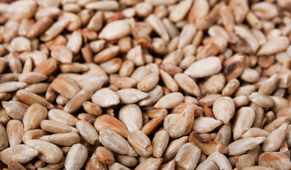 sunflower seeds