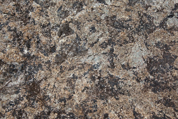 Stone Texture