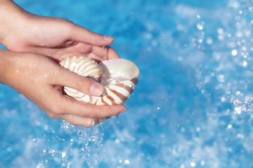 girls hands holding nautilus shell full of water against deep bl