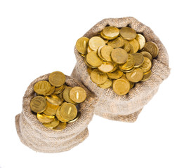 Bags filled with coins.