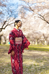 a portrait of japanese kimono woman