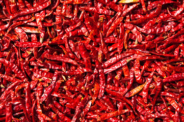 Red chili in the sun,Thailand