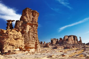 Fototapeten Bizarre Sandsteinfelsen in der Wüste Sahara © Dmitry Pichugin