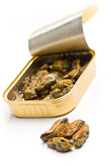 smoked mussels in opened tin can