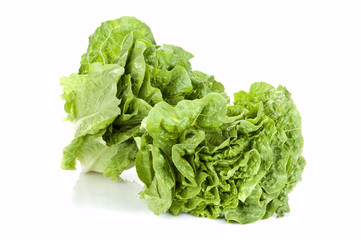 green salad(lettuce)