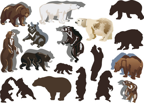 set of eighteen bears