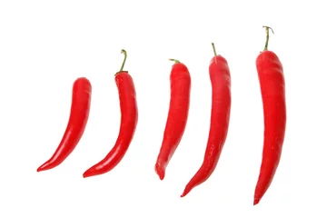 Fotobehang red chili pepper © Mikhail Basov