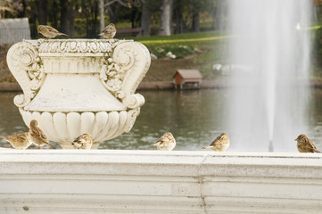 Estanque del Parque del Retiro