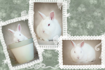 easter bunny