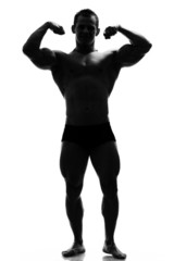 Fototapeta premium muscle silhouette