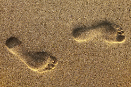 footsteps on beach in sandy