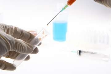 blood sample