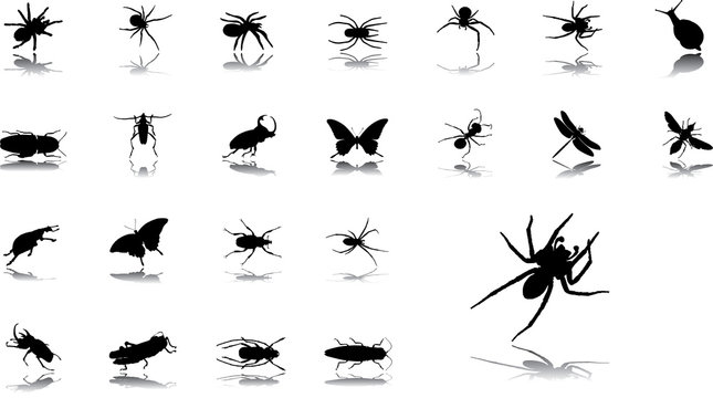 Big set icons - 24. Insects