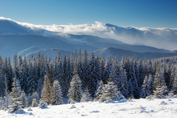 Fototapeta na wymiar Winter landscape in mountains
