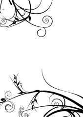 beautiful flowers decoration