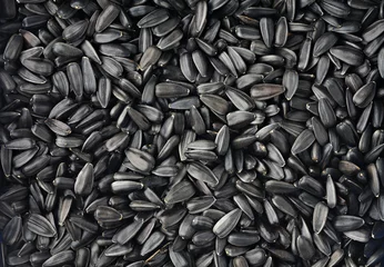 Rolgordijnen Black sunflower seeds, square organic background © ChaoticDesignStudio