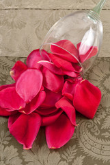 Beautiful Rose Petals Spilling From Wine Glass