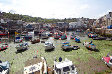 polperro boats
