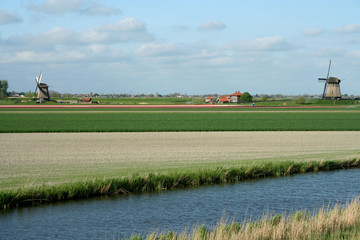 Dutch windmills