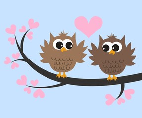 two cute owls in love