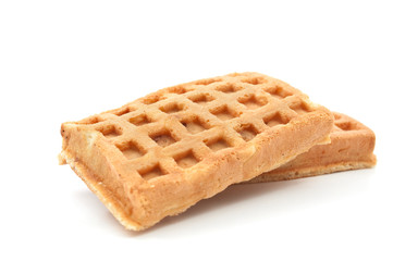 Biscuit