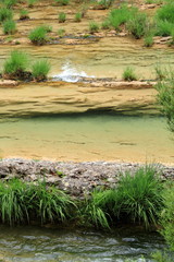 Borosa river source Sierras de Cazorla Jaen Spain