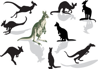 nine kangaroo set
