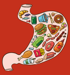 Fast food stomach