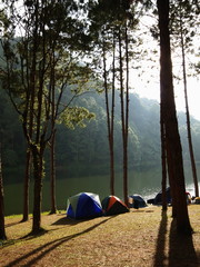 camping