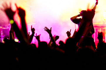 concert crowd in front of bright yellow/purple stage lights